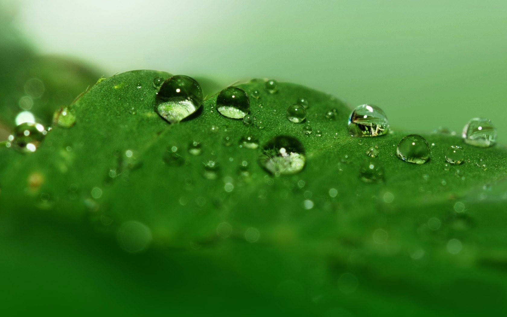 涟漪之韵：水滴壁纸中的静谧世界