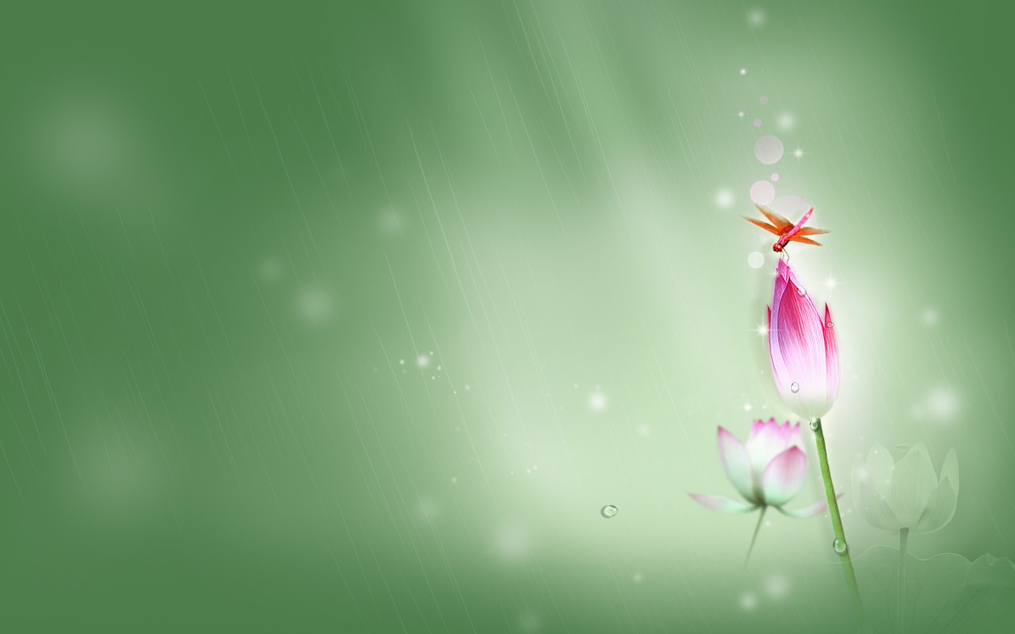 荷塘清韵蜓点翠